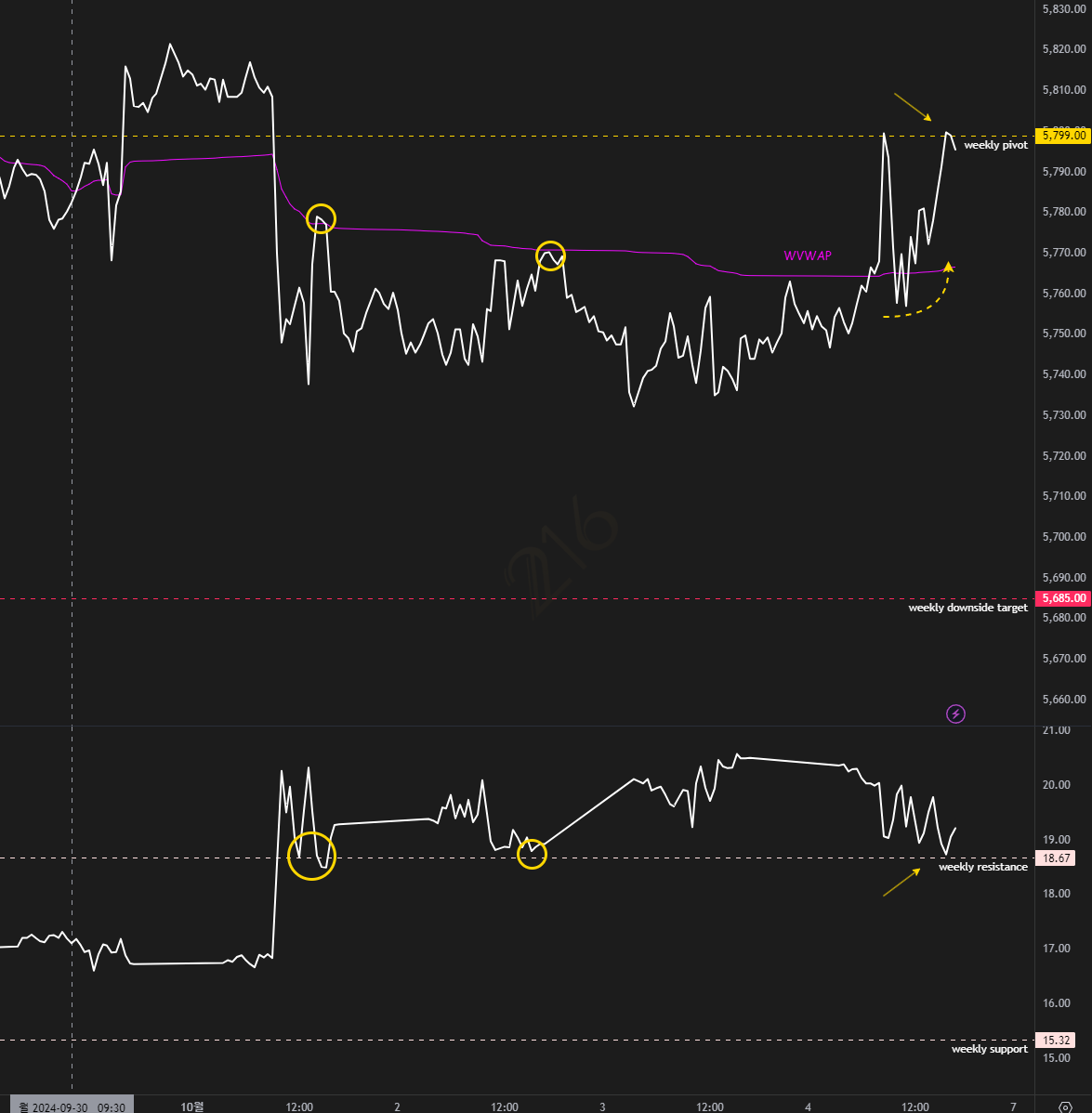 241005 esvix weekly