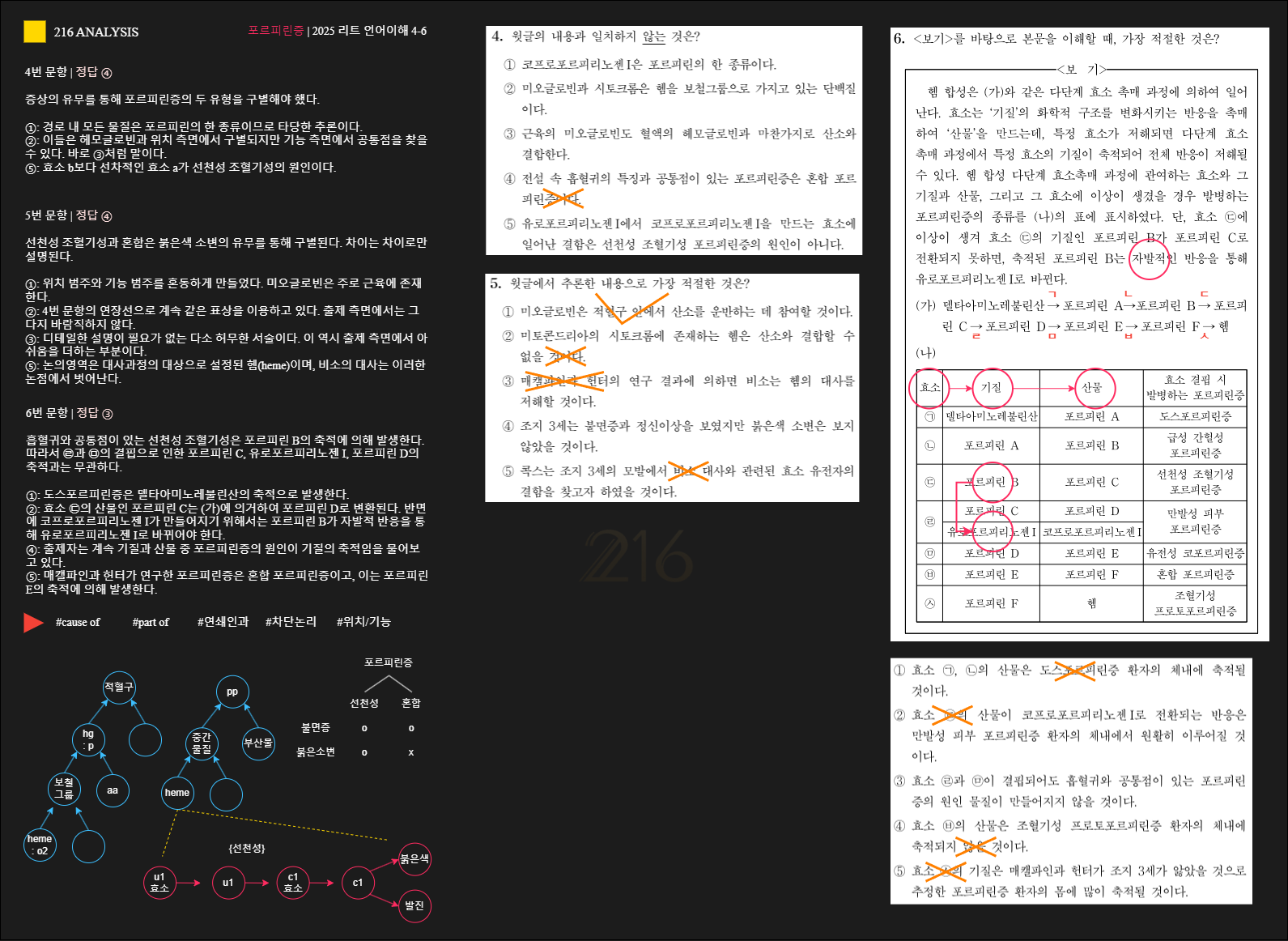 2025 리트 언어이해 4-6