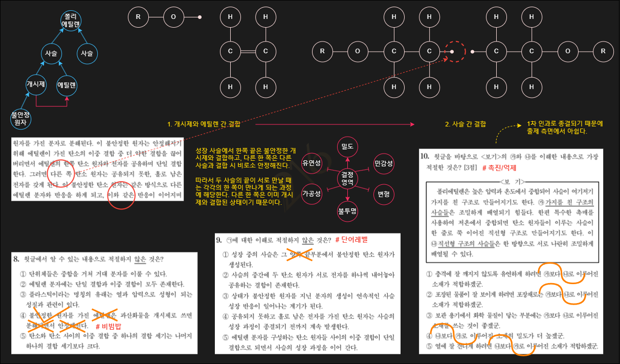 2025 수능국어 6평 8-11