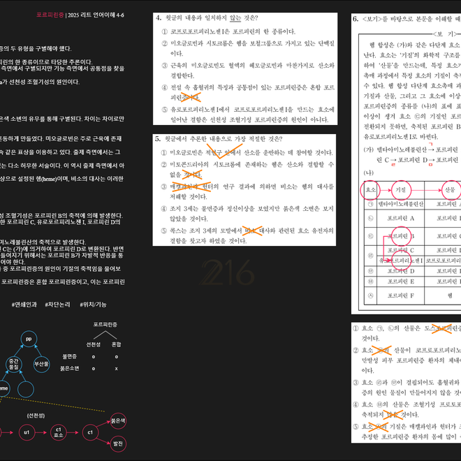 Image of: 포르피린증 질환 | 헴 합성 경로