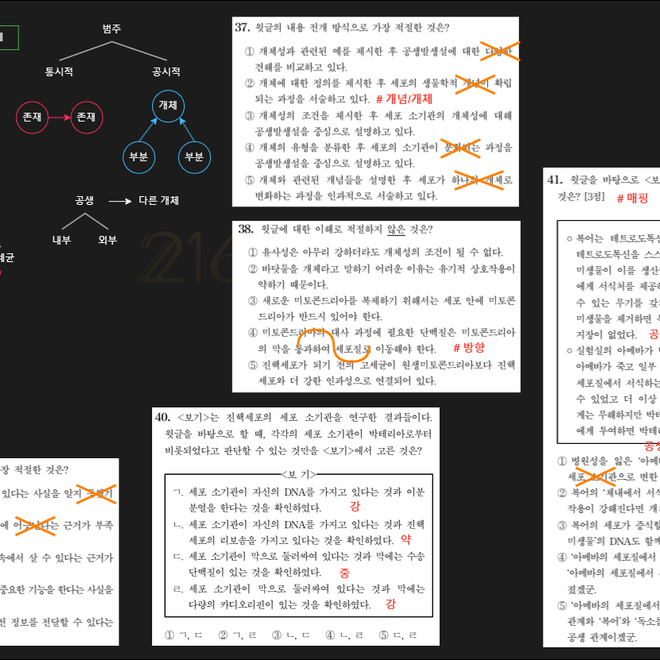 Image of: 개체성 조건과 세포 내 공생설